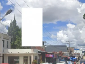 Jalan Ferdinan lumbantobing