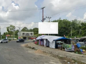 Jalan Pulang Pisau – Batas Kota Kuala Kapuas