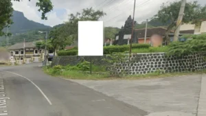 2. Jl. Raya Pracimantoro-Wonogiri