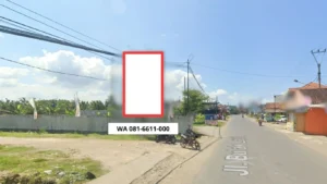 SEWA BALIHO PANGANDARAN