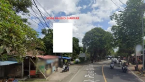 5. SEWA BALIHO GIANYAR Jl. Raya Goa Gajah