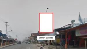 SEWA BALIHO Dharmasraya